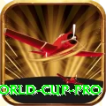 2019 world cup Plus New