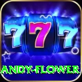 andy flower Premium Edition v1.9.8
