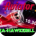antigua hawksbill VIP Edition v1.4.0