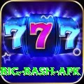 bbl big bash apk Master Pro v1.9.8