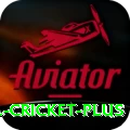 bbl cricket Casino Official v3.2.6