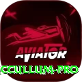brendon mccullum Casino Pro v5.8.7