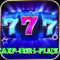 carp fish - Slots Champion