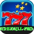 cricket match schedule Deluxe APK v3.9.1