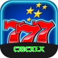 crickex Apps (Tools & Injectors) Deluxe vv4.8.7