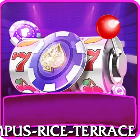 dhampus rice terrace Plus Pro v4.2.1 - 2
