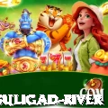 dunai suligad river Master v2.5.3
