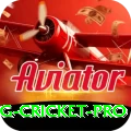 eng cricket Gaming Legend v3.0.3