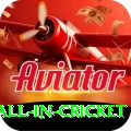 fastest ball in cricket Plus Edition v4.2.4