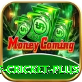 god of cricket Mega Gaming App