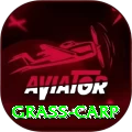 grass carp Apps (Tools & Injectors) Premium v4.2.1