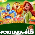 kathmandu pokhara bus Ultimate v1.3.6