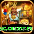 make money betting cricket pk Apps (Tools & Injectors) Plus v3.4.2