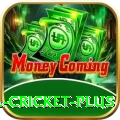 most runs in international cricket Money Champion v5.7.7