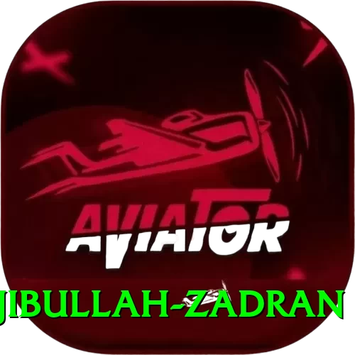 najibullah zadran Plus Pro v5.2.6 - 2