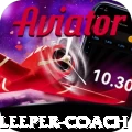 night bus sleeper coach Deluxe Edition v2.7.3