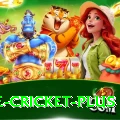 one cricket Royal - Casino & Slots