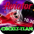 pakistan women cricket team Apps (Tools & Injectors) Pro v1.8.6