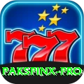 pakspinx Premium Slots