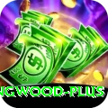 paul collingwood Slots Plus v4.3.5