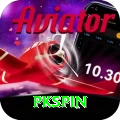 pkspin Apps (Tools & Injectors) Premium vv4.4.5