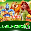 risk free bet cricket Max v2.1.3