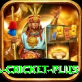 sa cricket Max 2024