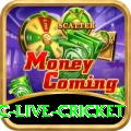 smartcric live cricket App