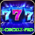 test cricket APK Mega v2.4.9