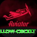 willow cricket Apps (Tools & Injectors) Ultimate v5.6.6