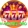 willow cricket Gaming Extreme v3.6.2